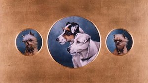 Terriers renards et terriers du Yorkshire - Alfred Wheeler