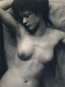 Le Torse