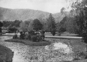 Jardins de Hakgalla depuis l