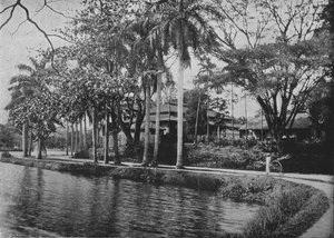 Kandy - Un coin pittoresque du lac, vers 1890, 1910 - Alfred William Amandus Plate