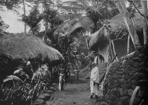 Huttes indigènes dans la jungle, vers 1890, 1910