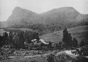 Sur la route de Hakgalla. Rocher de Hakgalla au loin, vers 1890, 1910 - Alfred William Amandus Plate