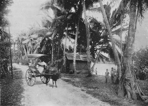 Route à côté de la rivière Kelaniya, vers 1890, 1910 - Alfred William Amandus Plate