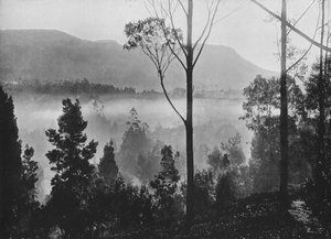 La brume du matin se levant à Nuwara Eliya - Alfred William Amandus Plate