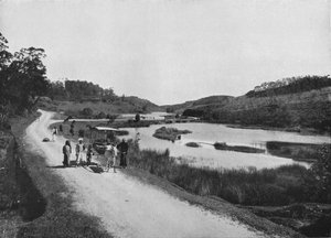 Les plaines de la Lune, Nuwara Eliya, vers 1890 - Alfred William Amandus Plate