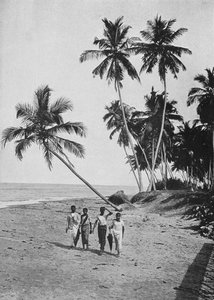 Le côté de la mer d