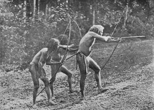 Veddahs ou Hommes sauvages, vers 1890, 1910 - Alfred William Amandus Plate