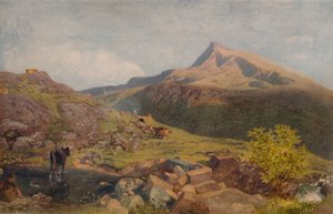 Parmi les collines galloises - Alfred William Hunt