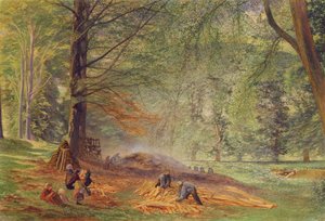 Charbonniers dans le parc de Rokeby - Alfred William Hunt