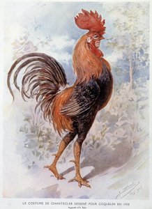 Costume de coq de Chantecler conçu pour Constant Poppy en 1908, pièce en vers par Edmond Rostand - Alfredo Edel
