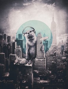 Urban Otter DJ