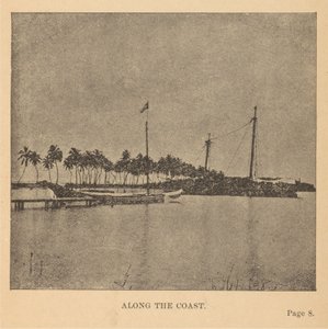 Le long de la côte - Alice Dixon Le Plongeon