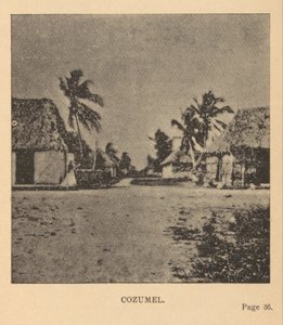 Cozumel - Alice Dixon Le Plongeon