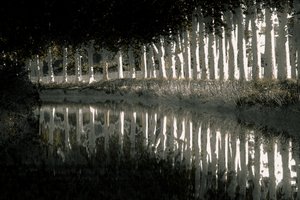 Rendu, 2018 (photographie repeinte à la main) - Alice Gur-Arie