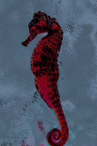 Hippocampe, 2018 (photographie peinte à la main) - Alice Gur-Arie