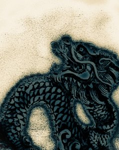 Année du dragon, 2021 (photographie peinte à la main)