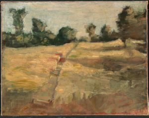 Le terrain - Alice Pike Barney