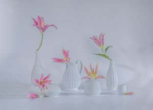  - Alice Sheng