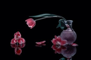  - Alice Sheng