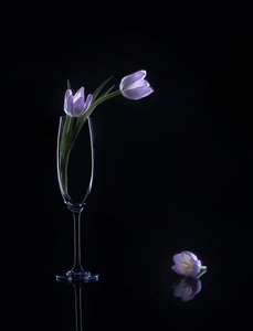  - Alice Sheng