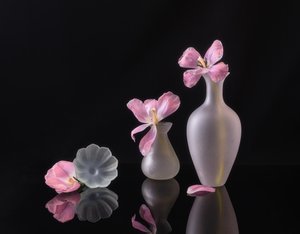  - Alice Sheng