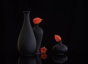  - Alice Sheng