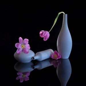  - Alice Sheng