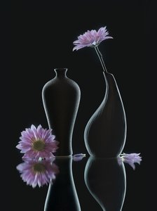  - Alice Sheng