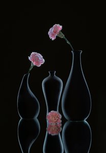  - Alice Sheng
