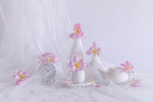  - Alice Sheng