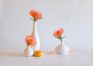  - Alice Sheng