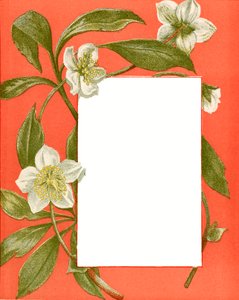 Décembre