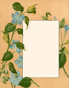 Février - Alicia Amy Leith