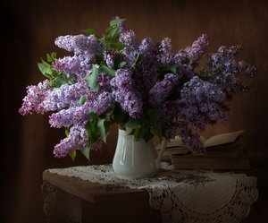  - Alina Lankina