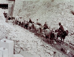 Scène montrant des blocs de marbre transportés depuis une carrière à Carrara. Le wagon est tiré par dix bœufs