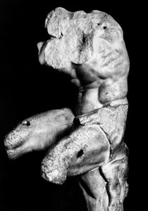 Le Torse du Belvédère par Apollonios de Nestor, vers 1890 (photo n/b)