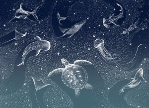 La vie marine céleste - Alirıza ÇAKIR