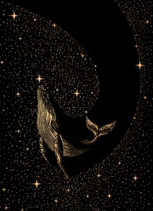 Le rêve de la baleine cosmique - Alirıza ÇAKIR