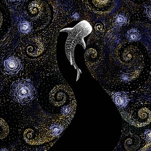 Requin-baleine cosmique - Alirıza ÇAKIR