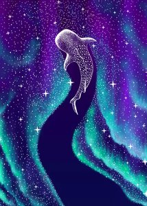 Aurores boréales et requin-baleine - Alirıza ÇAKIR