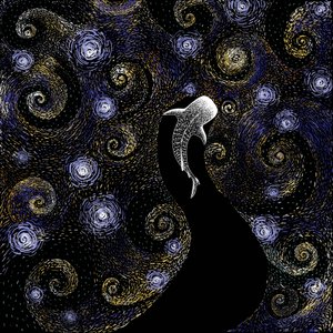 Le requin-baleine : une nuit étoilée - Alirıza ÇAKIR