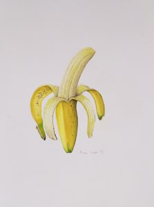 Une banane à moitié pelée, 1997 - Alison Cooper