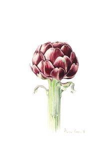 Artichaut du marché romain, 2016 - Alison Cooper