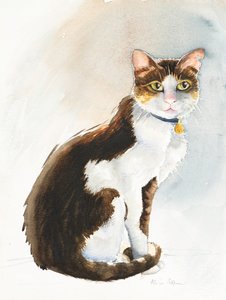 Dave le chat saoudien, 2019