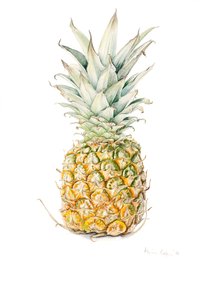 Ananas mûr - Alison Cooper