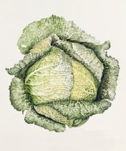 Chou de Savoie - Alison Cooper