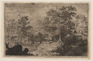 Le chêne sur la colline - Allaert van Everdingen