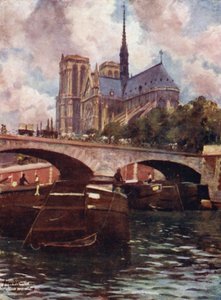 Paris : Cathédrale Notre-Dame - Allan Stewart