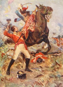 Sauver les couleurs à Albuera - Allan Stewart