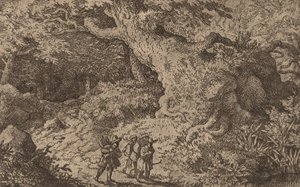 Une forêt dense